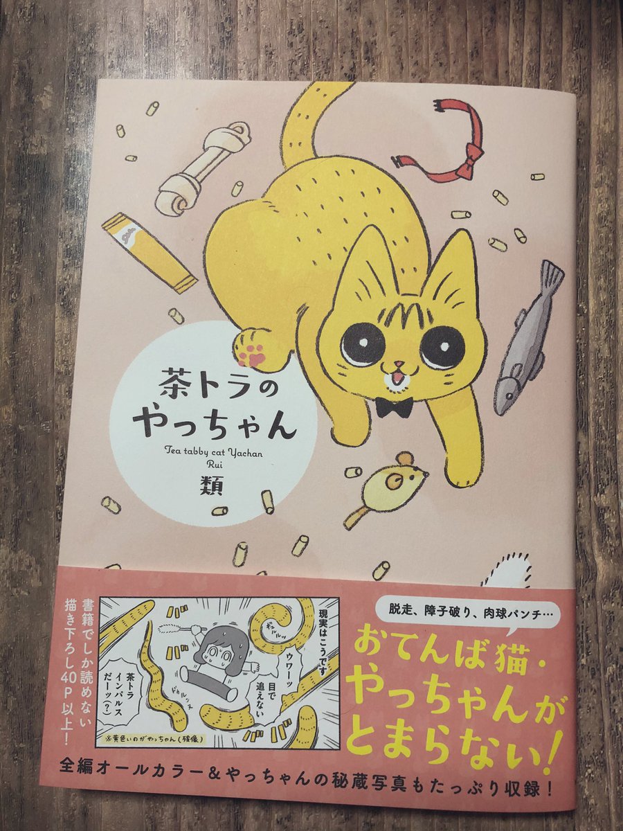 めちゃくちゃ読み返してしまう茶トラのやっちゃん……ルーズスキン可愛すぎん……?やっちゃん好き……
#茶トラのやっちゃん祝発売 https://t.co/4Y20JeUWib