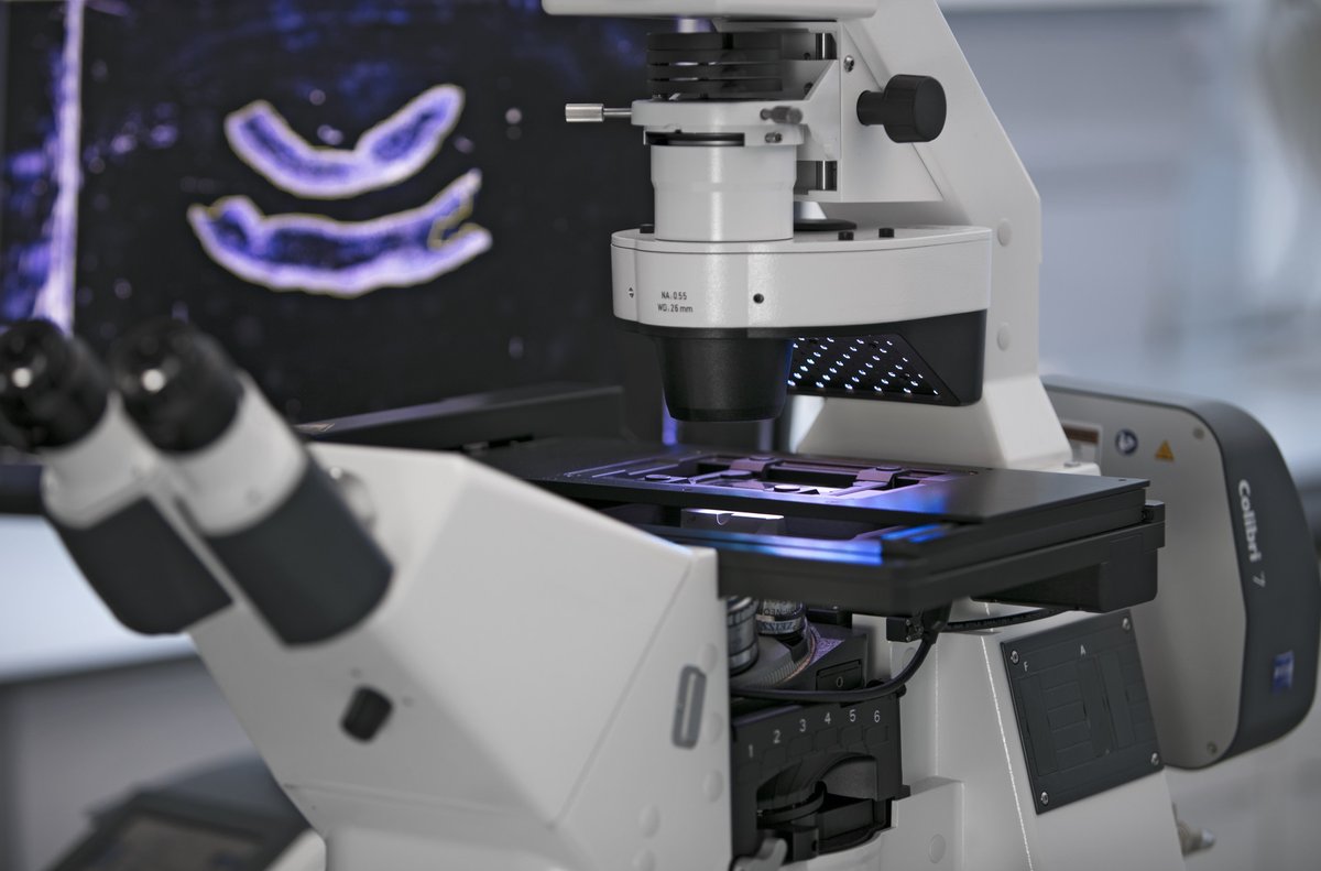 zeiss_micro's tweet photo. Yesterday, we launched the new ZEISS AI Sample Finder, which reduces your time to experiment from minutes to just seconds. In this thread, see how it works. (1/6)
#zeiss #microscopy #aisamplefinder #imaging https://t.co/ikWNXDpY5a