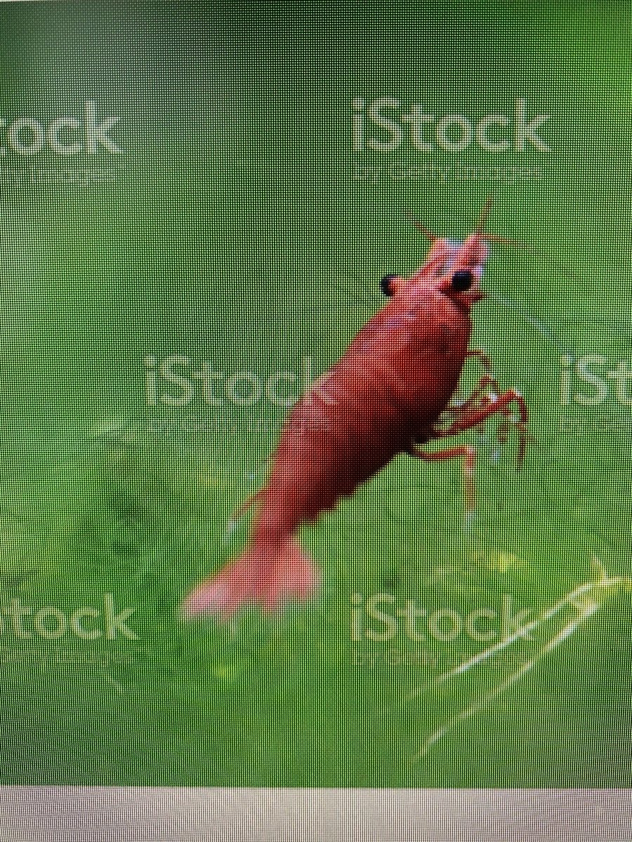 mobilesquared tweet media