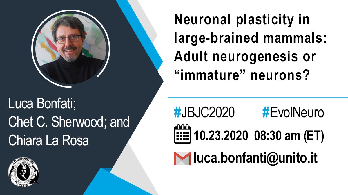 JBJohnstonClub's tweet photo. Fascinating talk to start our #JBJC2020 this Friday! 

Different types of #neuronal #plasticity can be the result of #evolutionary trade-offs associated with #brain #size and other #specializations. 

Don't miss this incredible presentation!!! 👇🏼 https://t.co/CAK3fV1o9l