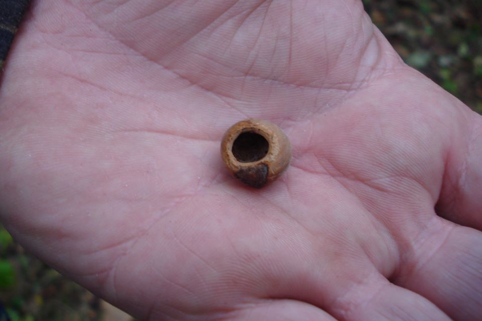 chrisMbakes's tweet photo. Something for @WildIdeasUK Devon-style hedge laid by Devon Rural Skills Trust, edge of Dartmoor, February 2020. With hedge on other side of same field, laid in 2019. And something a dormouse left behind. #hedgerow #devonhedge #dormouse https://t.co/zmnc8oC8fS