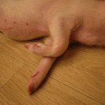 ツイートに含まれる画像