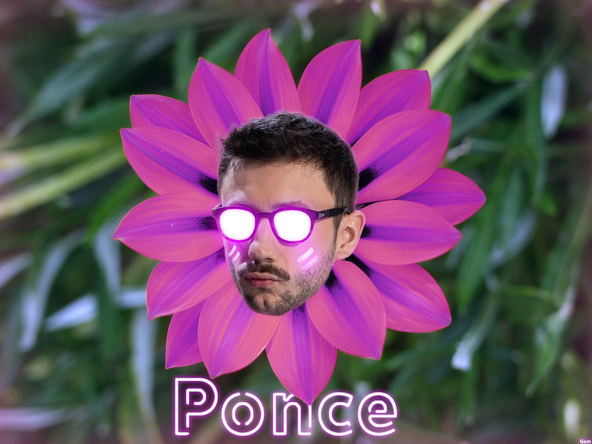 Ponce tweet media