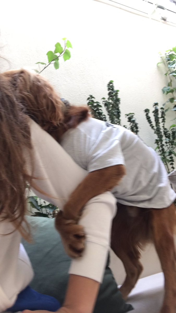 how it started:              how it ended: