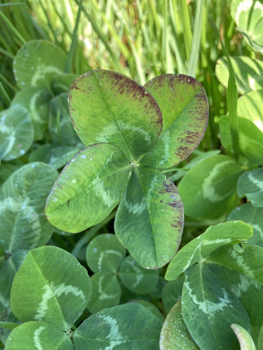 Martin Potts tweet media