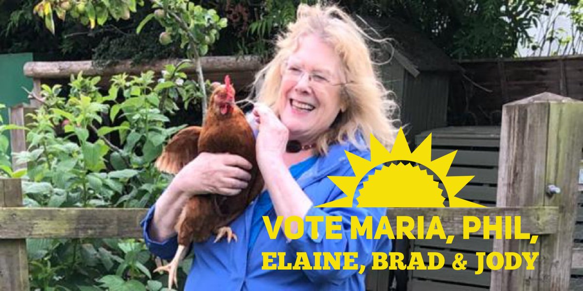 Maria Lee tweet media