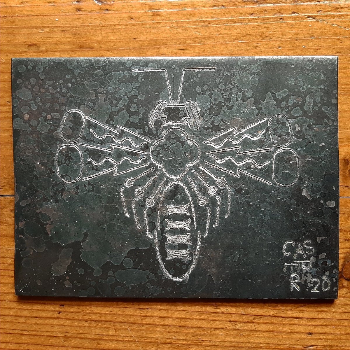 Working on a new series including #engraved #metal #art with #insects and #militarysymbols