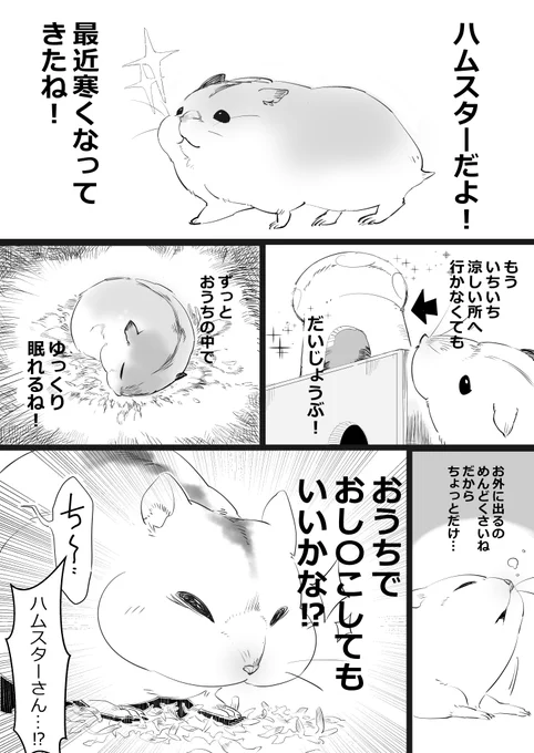 涼しくなって(9月のお話)おトイレをさぼりはじめるハムスター 
