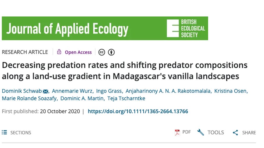 New paper led by  @Diversity_Turn MSc student  @DomiSchwab out in  @JAppliedEcology!Predation is a key ecosystem function – but which factors influence predation rate and predator composition in  #vanilla  #agroforestry?A thread about our findings  1/15