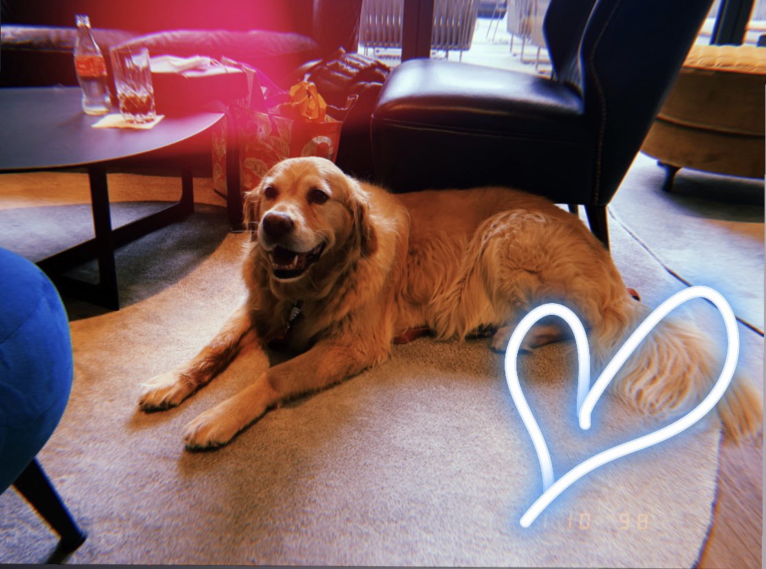 JessEMorrell tweet media