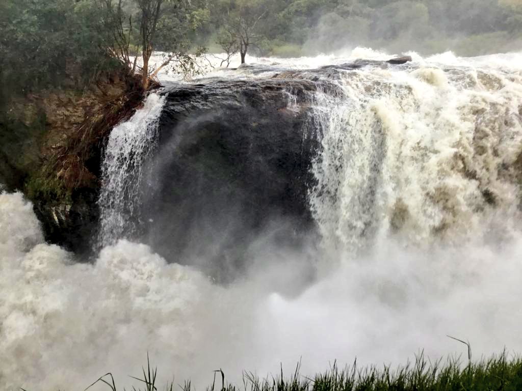 The beauty that is Murchison Falls National Park 🇺🇬🇺🇬🇺🇬

#visituganda 
#takeonthepearl