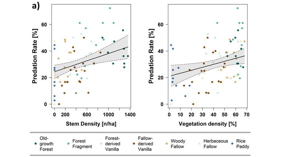 In-depth analysis revealed that on-plot stem- and vegetation density were both positively associated with predation rate cross land-use types. 8/15