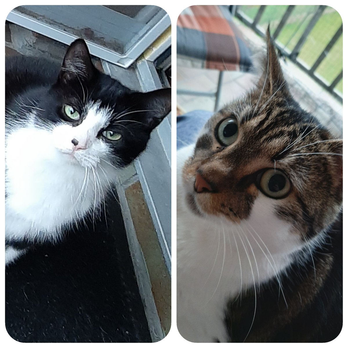 Ingrid Keuter tweet media