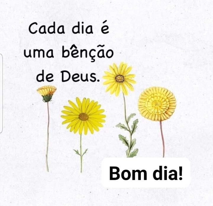 Aurélio on Twitter: Aurélio on Twitter: