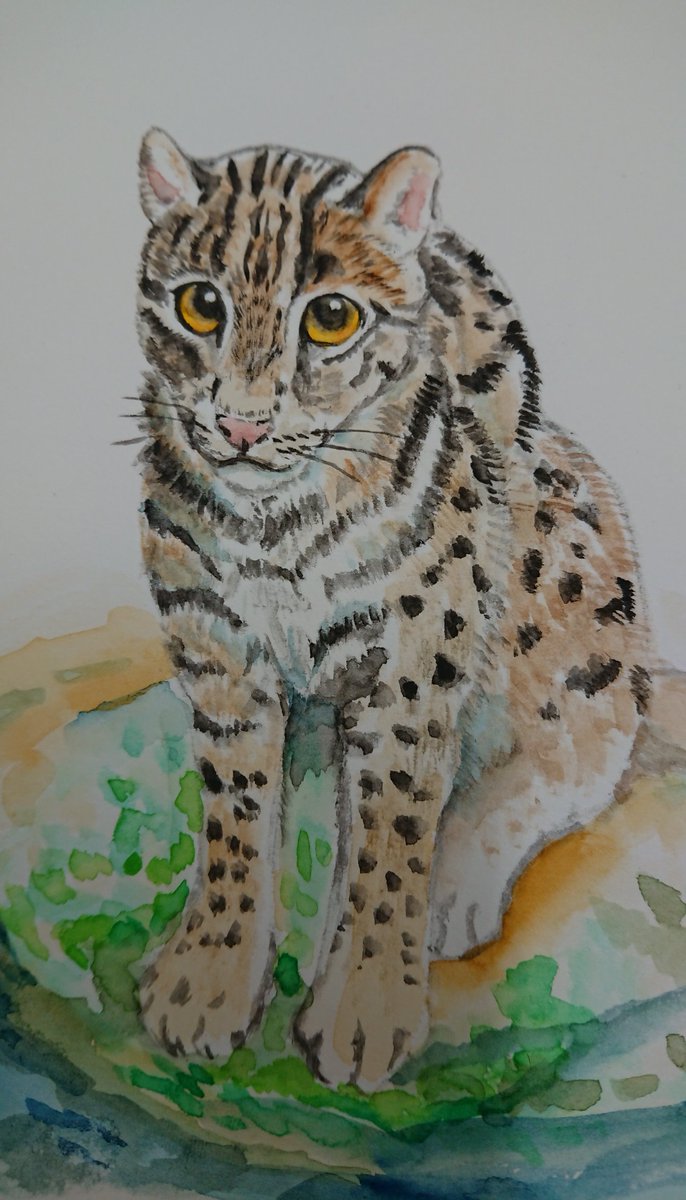 Twoucan スナドリネコ の注目ツイート イラスト マンガ コスプレ モデル