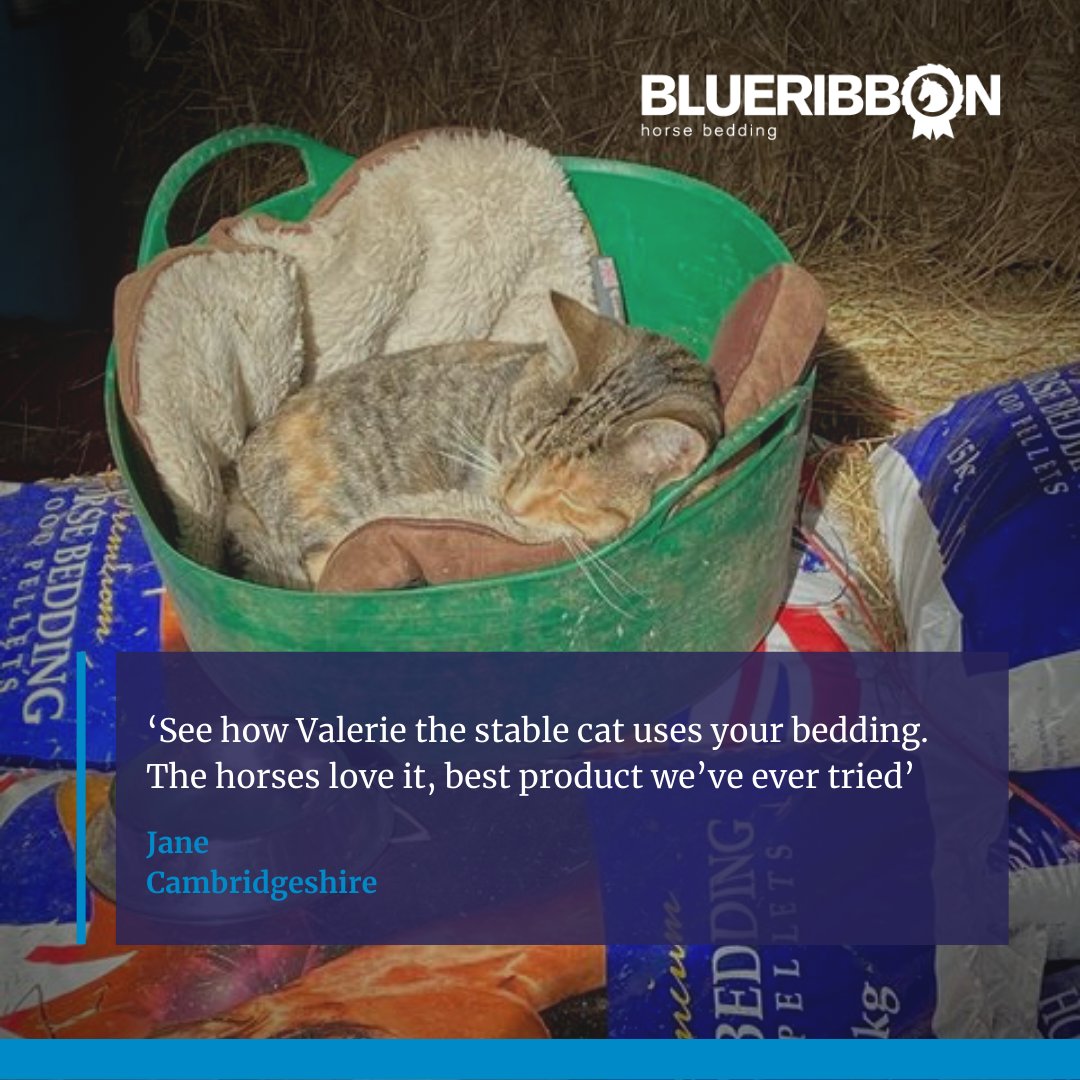 BeddingBlue tweet picture