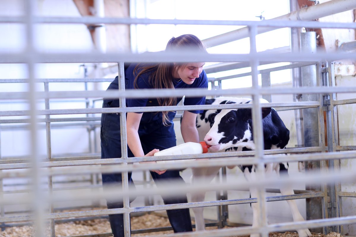 Canadian farmers produce some of the highest quality milk products in the world. There are so many reasons to enjoy Canadian milk. In addition to tasting delicious, you are also supporting local! Learn more at qualitymilk.ca