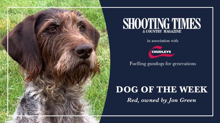 Shooting Times tweet media