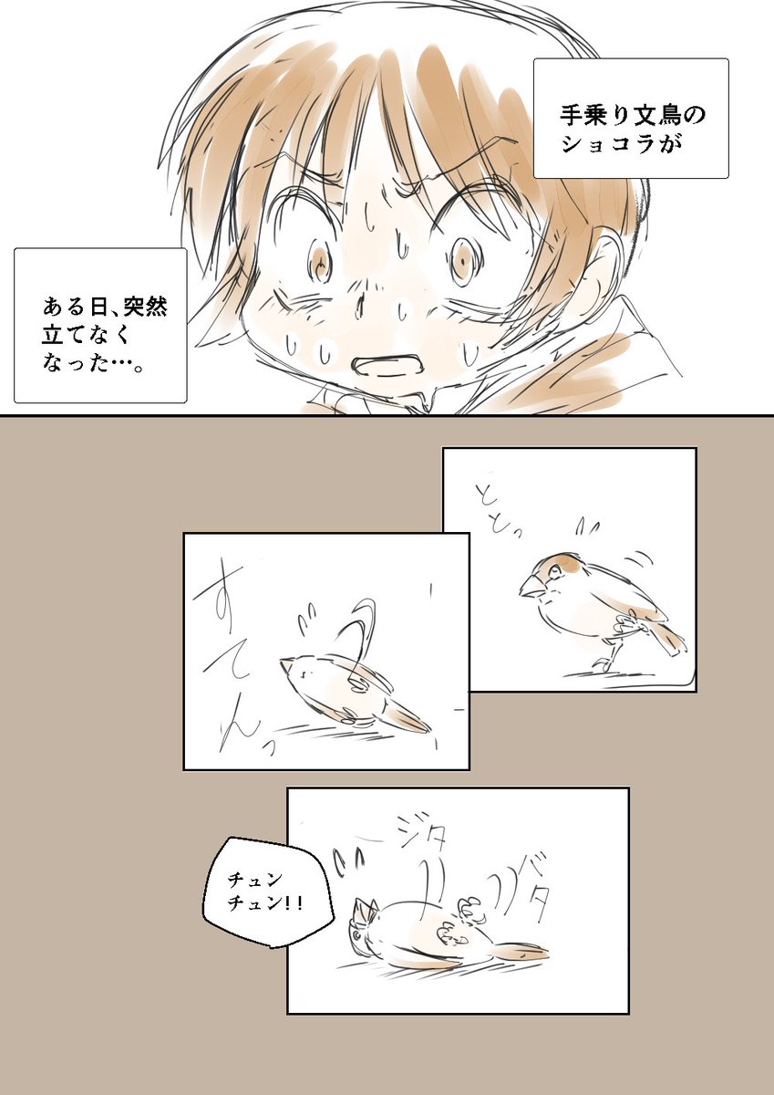 「文鳥の病気とハッピーエンド」
今この続きを描いています。
めちゃくちゃ変なマンガになる予定。
#コルクラボマンガ専科 