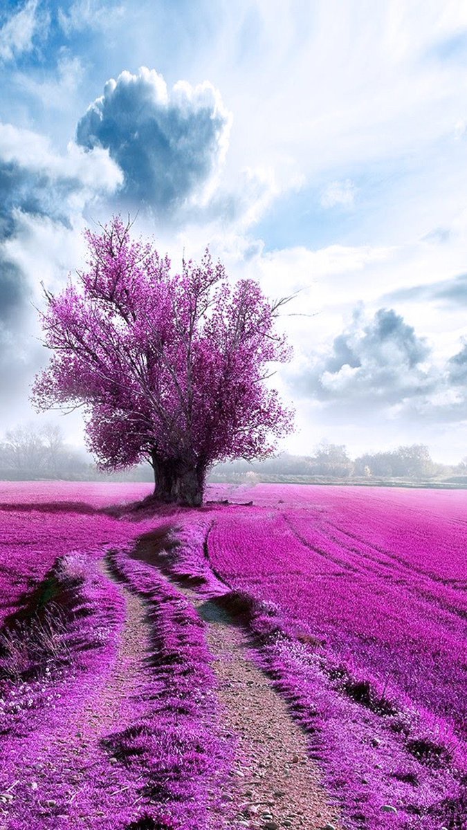 Bonjour chère Rima☕🌻
Je te remercie du fond du cœur pour ta gentillesse et tes vœux, ma chère amie, c'est toujours très agréable de recevoir un bonjour, un message🌺🌸🍁🍂👍
Je te souhaite également une agréable journée de mercredi relaxante et remplie de bonheur et de joie💐🤗 https://t.co/qxxHBZwzYI https://t.co/jzLFVWdMjU