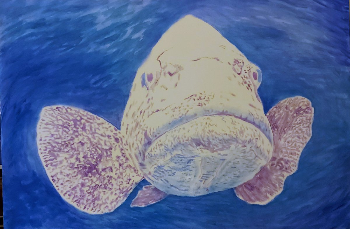 LisaHBristow's tweet photo. Whilst waiting for paint to dry one might as well get a new one started. Heading back to the codhole and a new potato cod.
.
#potatocod #codhole #oilpainting #workinprogress #oilpainting #gbr #sealife #greatbarrierreef #grouper
https://t.co/VZ7qlXhwN2 https://t.co/VhqQesXea0