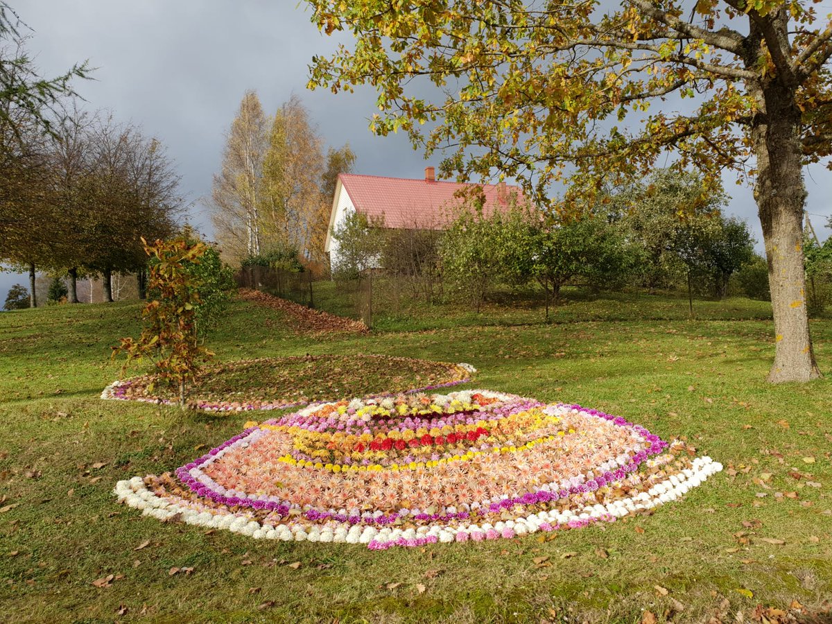 Rudenīgs sveiciens Kārzdabas pusē! 
Brilovsku ģimene Cesvaines novadā, Kārzdabā, izveidojusi no rudens ziediem veidotu sveicienu, kas izdaiļo un iekrāso piemājas teritoriju! Lai skaistas rudens noskaņas! 

Foto: Vilnis Špats