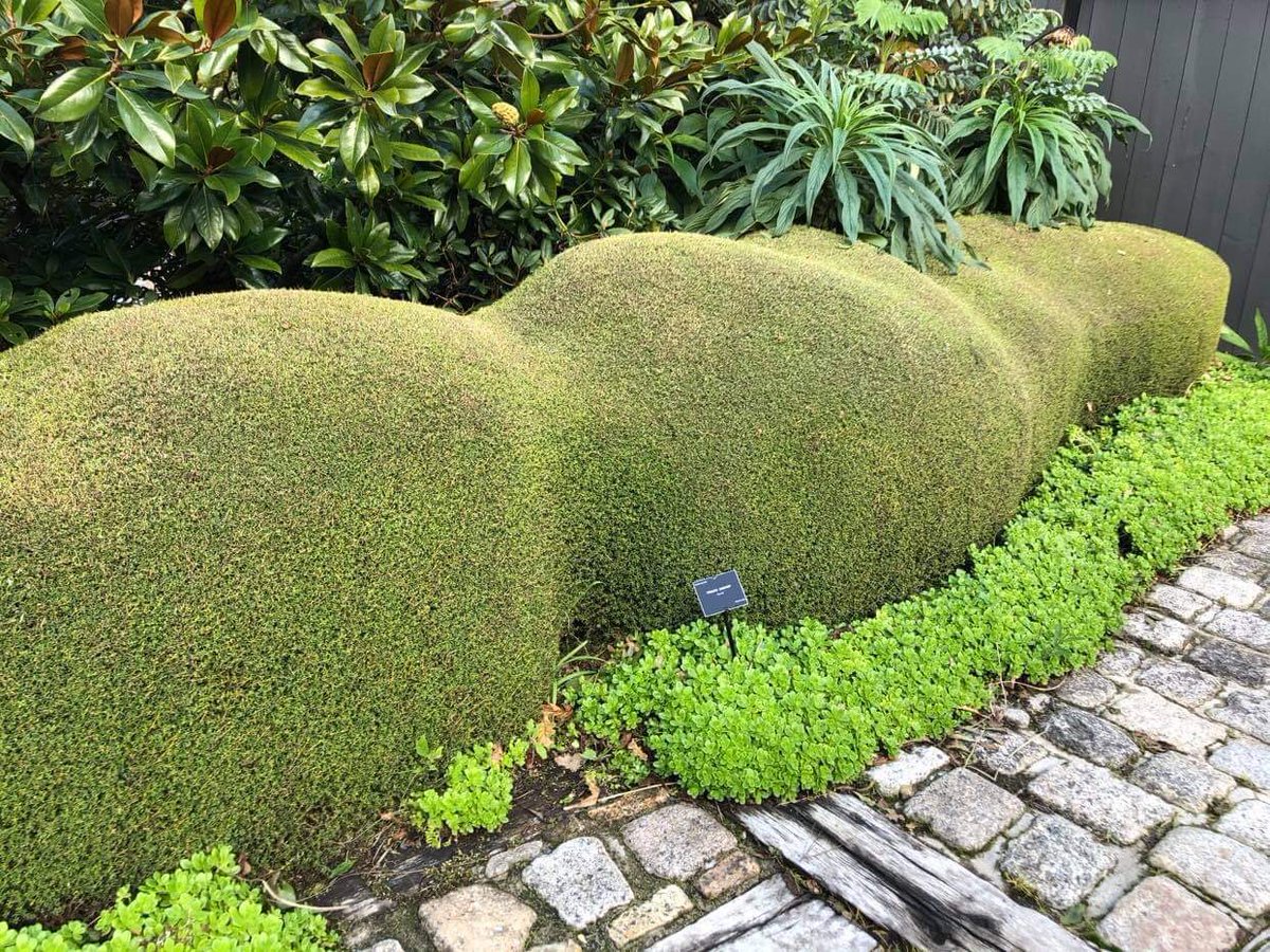 michel berjamin (@micberj) on Twitter photo 