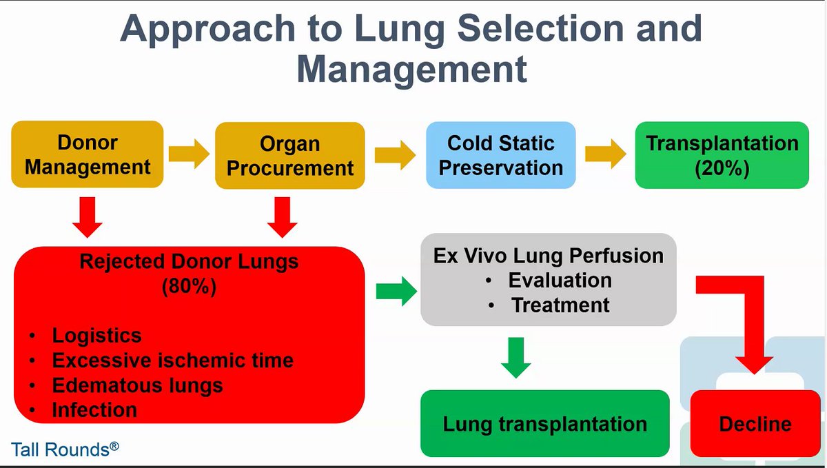 abribriesco43's tweet photo. .@TallRoundsTM 

Dr. Ken McCurry discussing #EVLP to expand available organs for #transplant

-EVLP to allows assessment of locally procured organs during #COVID19 
-Use of ultrasound on EVLP (#CLUE), collaboration w/ @siddharth_dugar 
-#Proning lungs on EVLP https://t.co/AMOUnjeB2S