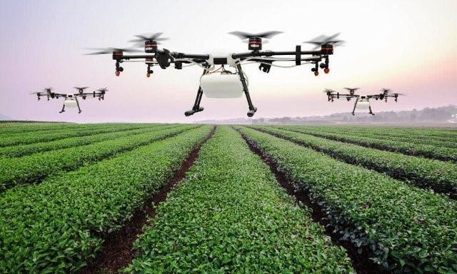 GlobalFatpos's tweet photo. Global AI in Agriculture Market

#ArtificialIntelligence in Agriculture uses modern and innovative agricultural technologies.
#technologies #agriculture #agritech #market #marketreports #farming #ai #covid #fatposglobal #innovation

https://t.co/I6Jt87dNg6 https://t.co/dWlNNy8IPl