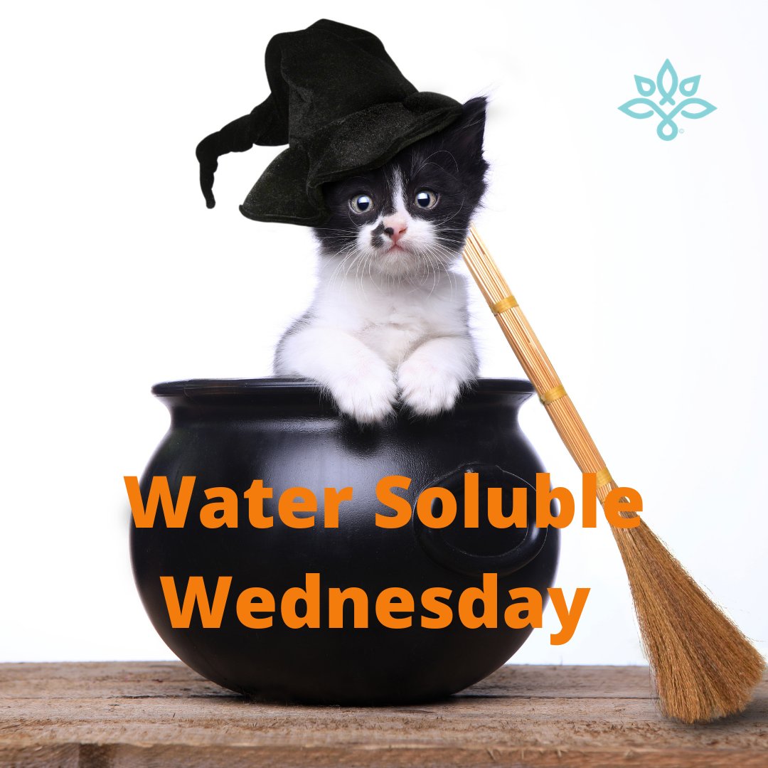 purelycbdeasley's tweet photo. Water Solubles are 10% OFF Today!⁠ They are so good you will want to add it to your witches brew! 
⁠
#cbd #purelycbdofeasley #easley #easelysc #downtowneasley #dontmissdowntowneasley #piedmontsc #pelzersc #Andersonsc #pickenscounty #andersoncounty #greenville #greenvillesc https://t.co/VXudBGdNJh
