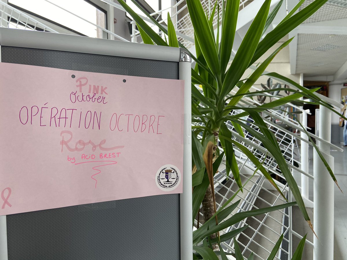 Aujourd’hui et demain, l’ACID Brest organise une collecte de dons pour Octobre rose! Pour chaque participation il est possible de gagner de nombreux lots!