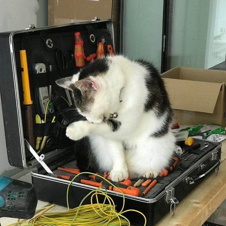 #attentionseeking instagr.am/p/CGmr_baMaOz/