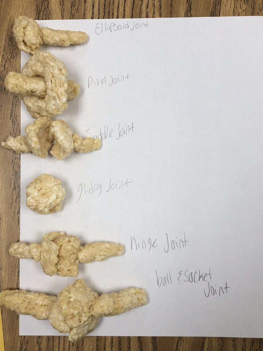 firefightinatc's tweet photo. My Ss in SPM1 class participated in a synovial joint lab. Using Rice Krispies treats they created the 6 types of synovial joints & then created their own skeletal joint. Some good creations. #SportsMedicine #HandsOnLearning #StudentEngagement #LearnByCreating @mhsredhawksnc https://t.co/N5DGNl1myw