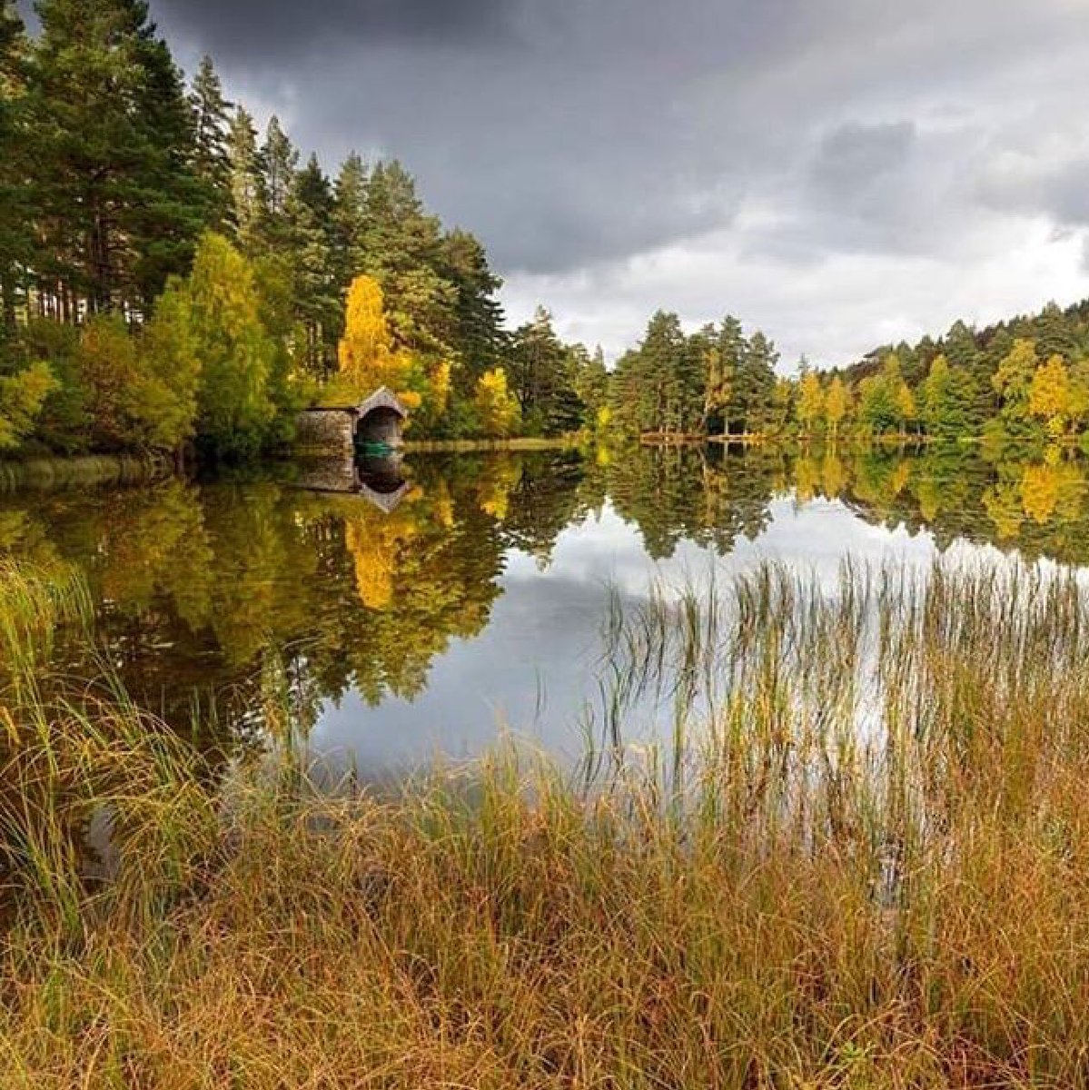 Stunning Autumn scenes at @Glen_Tanar by @martinbennie 🍂🍁🍄 #lovewherewelive #CairngormsTogether #CairngormsAutumnViews