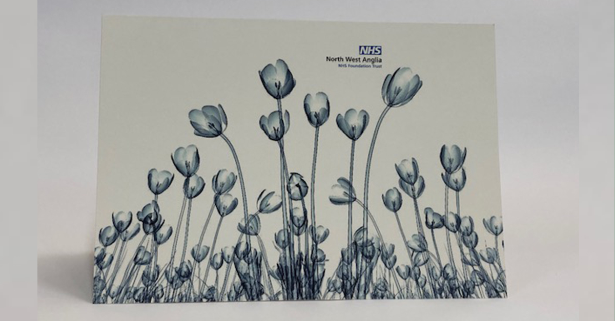 Fisherprint | TLC tweet media