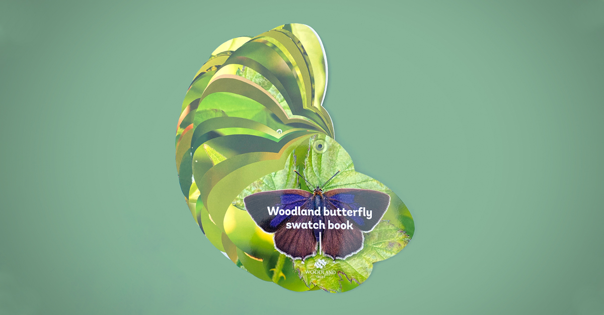 It's #InternationalPrintDay today so we thought we'd share some (but not all!) of our favourite #print installations of the year. So many diverse applications! Which is your favourite? Learn more fishertlc.co.uk/services/print… #IPD20 #printing #signage #bespokeprint #printingperfection