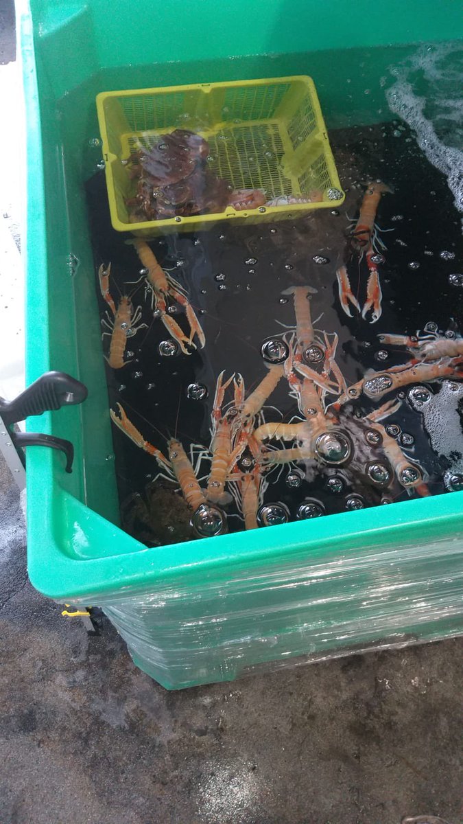 Homarium Uk Ltd tweet media