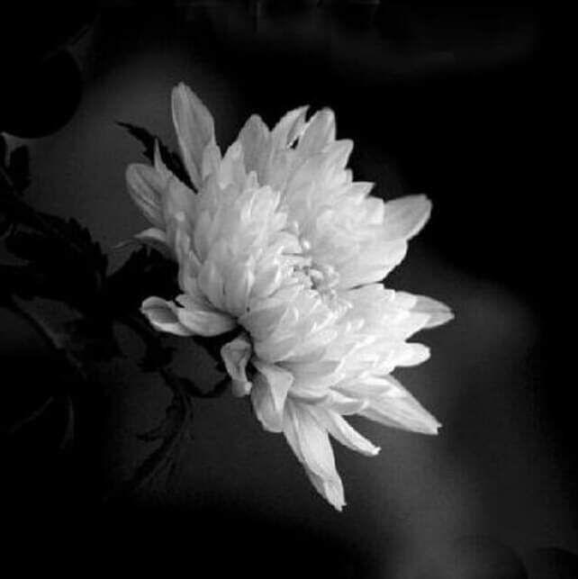 재난은 사회적 약자에게 더욱 가혹합니다. 지난달, 부모 없이 끼니를 해결하기 위해 라면을 끓이다 화재로 중화상을 입은 형제 중 동생이 안타깝게 오늘 생을 마감했습니다. 국가의 부재를 통감합니다. 

참담한 마음과 함께 삼가 고인의 명복을 빕니다.