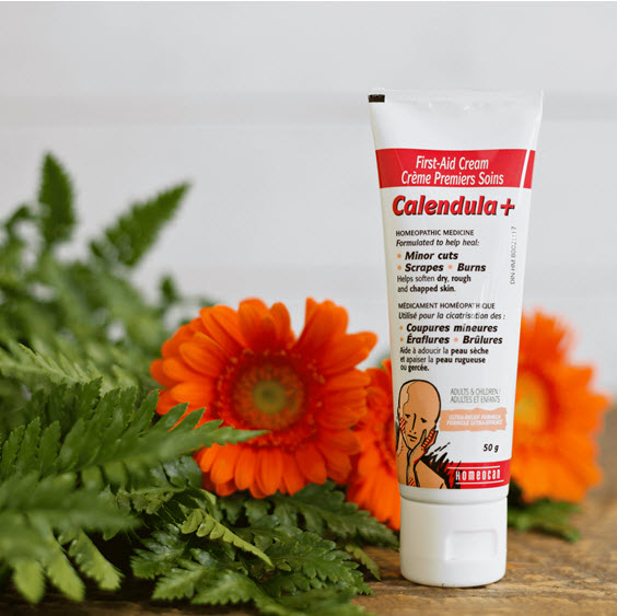 easy_today's tweet photo. Does the actual situation tend to dry out your hands? Apply a thick layer of Calendula+ First Aid Cream before going to bed, put on cotton gloves or stockings and wear overnight! 😉🌿  
Buy now 👉https://t.co/rKVP9Quwk0
.
#easypharma #homeocan #homeocanremedies #homeopathic https://t.co/N2WXlrnoT6