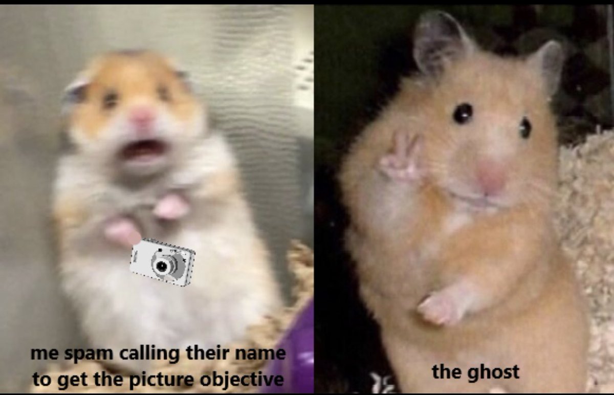 phasmomemes's tweet photo. #Phasmophobia #PhasmophobiaGame https://t.co/ZU8FaC1CHJ