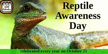 Reptiles are vertebrates that are scaly, cold-blooded and, with a few exception, lay eggs. They include turtles, terrapins, tortoises; lizards, snakes, legless worm lizards; the tuatara of New Zealand; crocodiles, alligators, gavials, and caimans. 
#reptileday2020 #reptileday