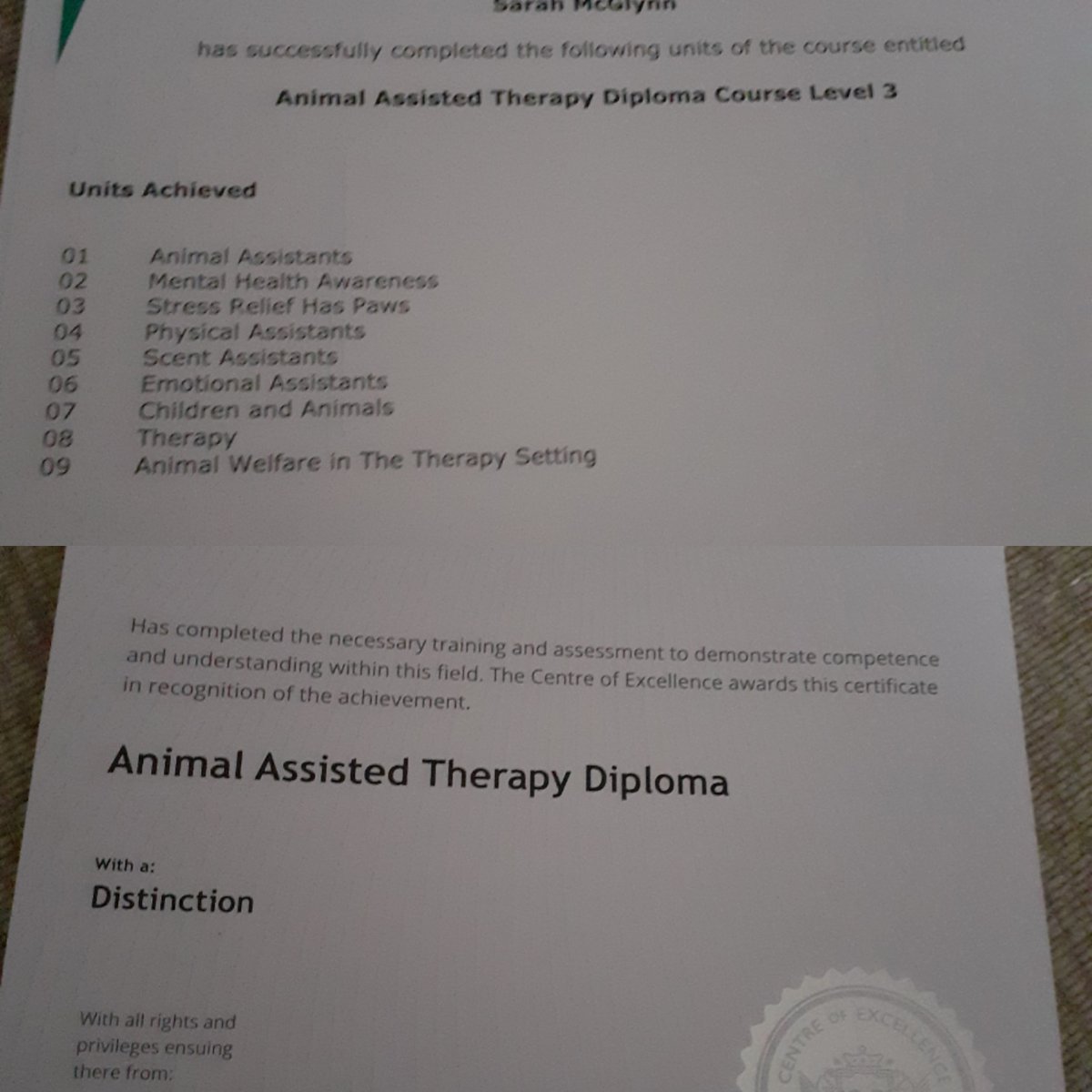 SpaceCymru's tweet photo. Currently gaining qualifications to provide animal assisted activities in the near future #animalassistedactivity #animaltherapy #community #animals #mentalhealth #MentalHealthAwareness #MentalHealthMatters #givingback #communityenterprise https://t.co/UrsQ0YEBnU