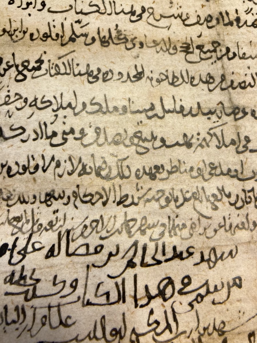 While working on this 5th/11th-century contract of sale of a share of a mill in al-Ashmunayn (ancient Hermopolis) in Middle Egypt it struck me how many expressions and phrases are the result of scribal  practice rather than legal prescriptions. 