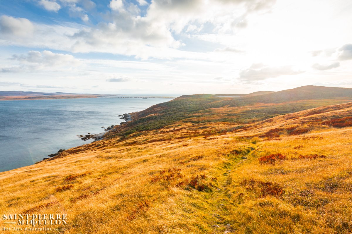 TourismeSPM's tweet photo. Le 21 Octobre 1520, le navigateur portugais João Alvares Fagundes découvrait le territoire qui allait devenir Saint-Pierre-et-Miquelon…Belle trouvaille.
#SPMexception 🇵🇲 https://t.co/I6mHZG2hh4