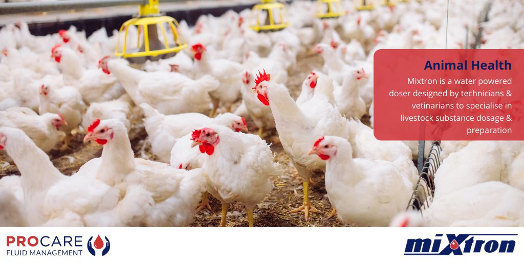ProcareFM's tweet photo. #Mixtron for Animal Health - designed &amp; developed to ensure maximum dosing precision of vitamins, antibiotics, probiotics, minerals &amp; vaccines to assist animal health, correct development &amp; growth: https://t.co/oYCzTfJbLX 

#AnimalHealth #PoultryFarming #Livestock #Poultry https://t.co/36GEnJqurU