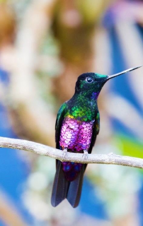..⋆꙳⋆❀
💜..⋆꙳⋆❀
#beautifulworld
#Lovetwitter #Friends
.
.⋆꙳⋆❀ 💜.⋆꙳⋆❀ 💜.⋆꙳⋆❀ 💜.⋆꙳⋆❀ https://t.co/8h3OUe2PHG