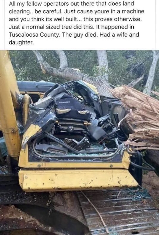 cruz31prospect's tweet image. #treetrimming #properpruning #treeremoval #trees #tree #treecare #trimthetree #landclearing #stump #stumpgrinding #stumpremoval #hurricaneprep #debris #debrisremoval #arborist #arboristlife #landscaping #landscapes #sod #integrity #professional #pro 
#freeestimates #lakeplacid