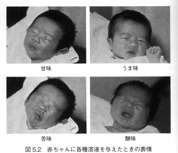 実は味にうるさい？赤ちゃんの味覚がめっちゃ正直ｗｗ
