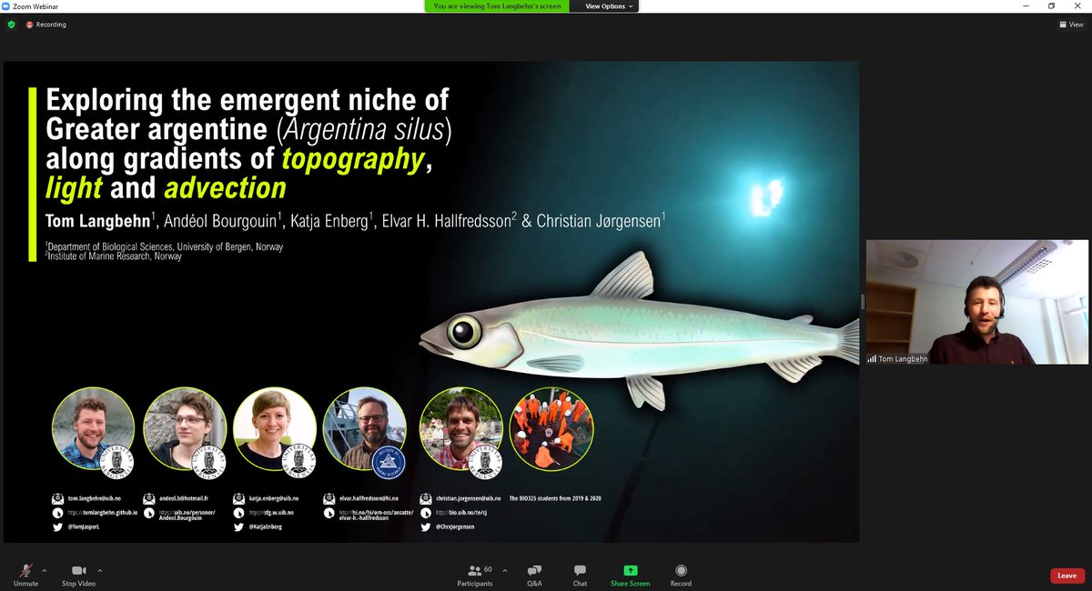 .@TomJasperL giving another brilliant presentation at the meeting for the Norwegian marine scientists. The cooperation includes also <a href="/BioUiB/">Biovitenskap på UiB</a> MSc-students from the last two years of #BIO325 course!