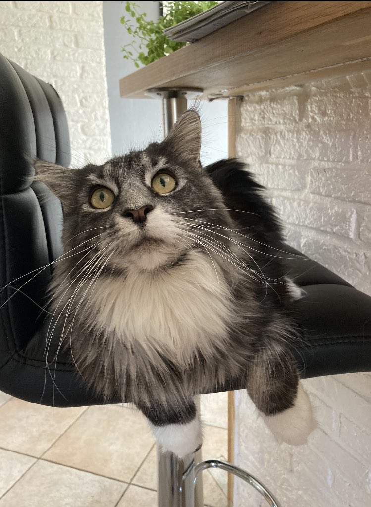 HuretLouanne's tweet image. 💞💞